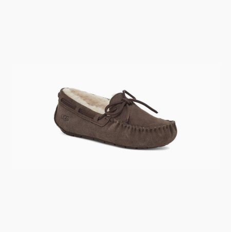 UGG Dakota Brown Slippers for Women (LIKH31980)